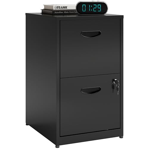 Polup Black 2-Drawer Lockable Metal File Cabinet for Home Office