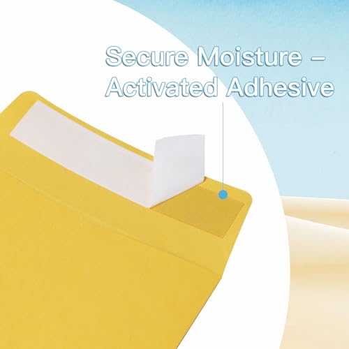 TQQBUU Classic 28lb 500 Pcs Cash Deposit Envelopes Self Seal 9.5x4 for Small Businesses