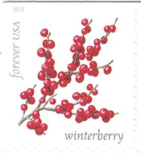 Winter Berries 20 Forever First Class US Postage Stamps - Botanical Design