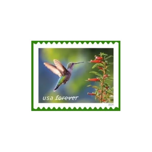 Garden Delights (Booklet of 20) First-Class Mail Forever Postage Stamps 2024 Scott 5845-5848