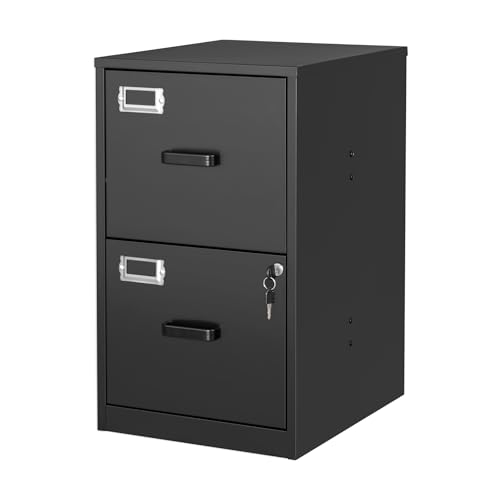 BYNSOE Black 2-Drawer Locking File Cabinet - Vertical Steel Office Storage, 25.39"H