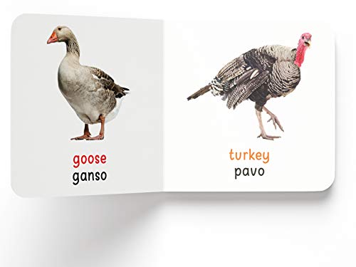 My First English-Spanish Learning Library Board Book (Spanish Edition) Wonder House