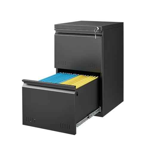 2 Drawer File Cabinet with Lock, Vertical File Cabinets for Home Office, Printer Stand, Heavy Duty Steel Office Storage Cabinet for Letter/Legal/A4, Assembly Required(Black)