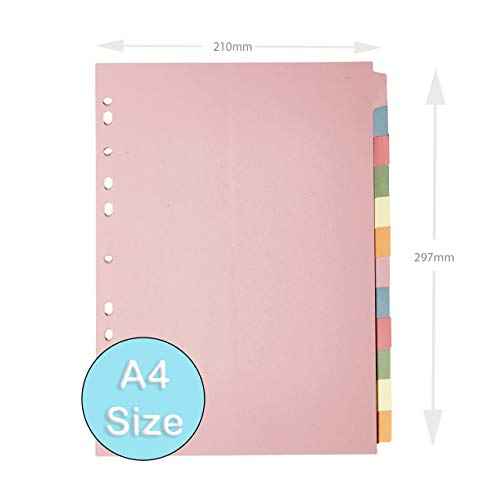 [10 Pack] Binder Dividers with Tabs A4 12 Part | Dividers for 3 Ring Binder | Perfect for Organizing Pages in 3 Ring Binder Dividers with tabs, Each Set Includes Tab Dividers - The Paper Shop