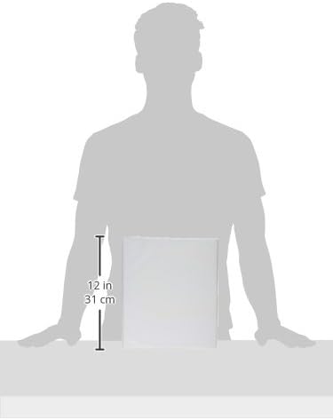 Avery Standard View Binder - 0.5" Round Rings, 100-Sheet Capacity, 1 White Binder for Lightweight Organization