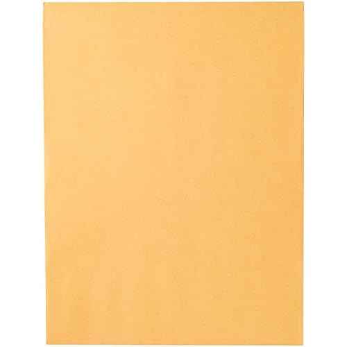 Mead Envelopes, 9" x 12", Clasp Closure, Brown Kraft All-Purpose 24-lb Paper Mailing Envelopes, 20 Count (76020)