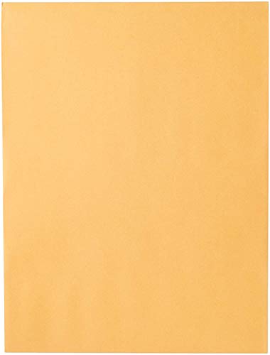 Mead 9x12 Clasp Envelope Pack of 20 - Brown Kraft Mailing Envelopes