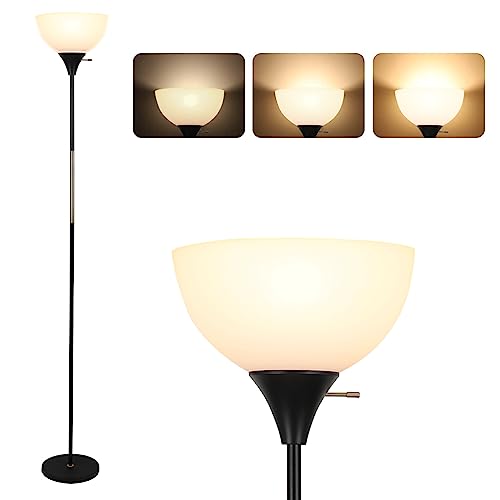 LALISU Black Dimmable Floor Lamp, 3 Brightness Levels Modern Standing Light
