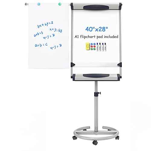 VIZ-PRO Dolphin Magnetic Mobile Whiteboard/Flipchart Easel, 28 X 40 Inches