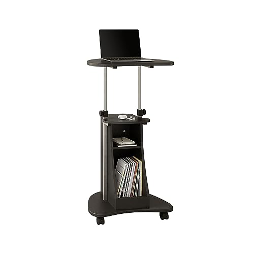 Techni Mobili Sit-to-Stand Rolling Adjustable Height Laptop Cart with Storage, Graphite, 22 x 16 x 46