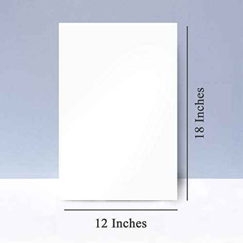 Gloss Digital Paper ? Perfect for Color Laser Printing, Design Proposals, Flyers, Brochures | 12 x 18 | Glossy 100lb Text (40lb Bond) Paper | 94 Bright | Acid Free, Coated Finish | 100 Sheets per Pack