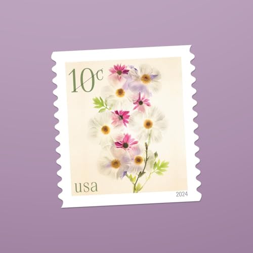 US Postal Service Poppies and Coneflowers 2024 10-Cent Definitive Postage Stamps - 20 Sheets