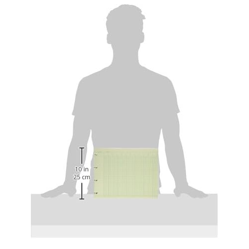 Wilson Jones G1020 Accounting Sheets, 20 Column, 9-1/4 x 11-7/8, Green (Pack of 100 Loose Sheets)