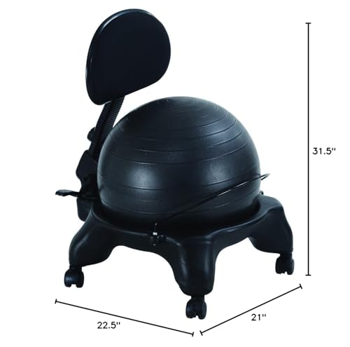 Aeromat Adjustable Active Sitting Exercise Ball Chair with Spine Support