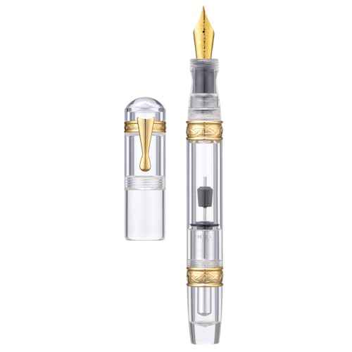 Majohn C5 Vacuum Fountain Pen Medium Nib, Large Capacity Transparent Acrylic Writing Gift Pen