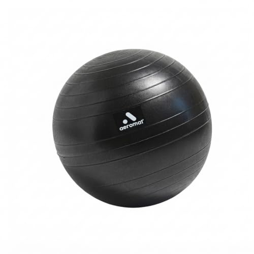 Aeromat 49 cm Replacement Ball for Fit Chair – Ball Chair Replacement Part