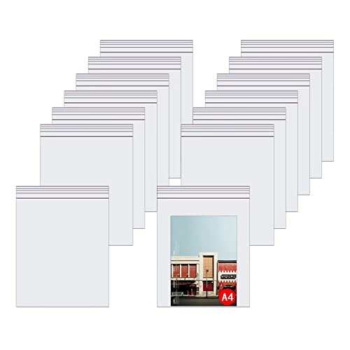 BornFeel 11x14 Inch Clear Poly Zipper Bags 100pcs - Reclosable Plastic Storage Bags for Packaging, Shipping, and Organization