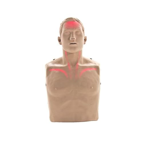 Brayden/BigRed¢â Adult CPR Manikin with LED Red Light CPR Feedback, Tan Skin | American Red Cross Carry Case Sold Separately