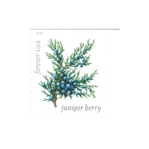 Winter Berries Book of 20 First Class US Postage Stamps Wedding Celebrate Engagement (20 Stamps)