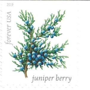Winter Berries 20 Forever First Class US Postage Stamps - Botanical Design