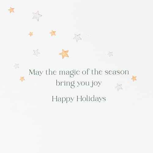 Papyrus Christmas Cards Boxed with Envelopes, Magic Of The Season (14-Count)