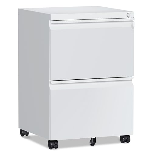 RAVIGIN 2-Drawer Mobile File Cabinet with Lock, Fully Assembled, White