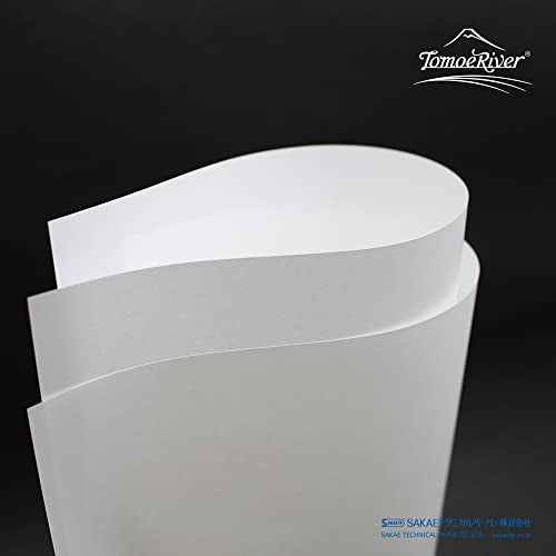Tomoe River FP 52gsm Loose Sheet by SANZEN, 8.27 x 11.7 Inches (A4-size), White, 100 Sheets/Pack (SR-A4P-W)