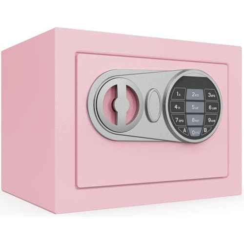 Goldenkey Small Safe Box for Money, Digital Home Safe Box with Keys&Code for Cash and Coin, Mini Safes for Kids, Personal Items for Hotel, 6.69"D x 9.05"W x 6.69"H, 0.236 Cu.Ft.