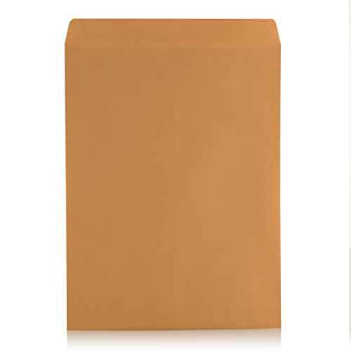 Aimoh 9 X 12 Self-Seal Brown Kraft Catalog Mailing Envelopes - 28lb - 100 Count, 9x12 Inch (38300)