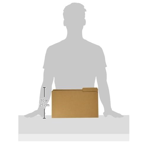 Pendaflex RK15313 Two-Ply Dark Kraft File Folders, 1/3 Cut Top Tab, Legal, Brown (Box of 100)