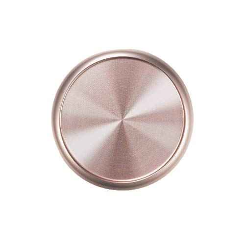 Eleven Discs 1½-Inch Aluminum Discs for Discbound Notebooks (Champagne, Set of 11)