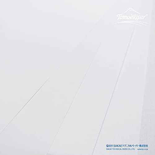 Tomoe River FP 52gsm Loose Sheet by SANZEN, 8.27 x 11.7 Inches (A4-size), White, 100 Sheets/Pack (SR-A4P-W)
