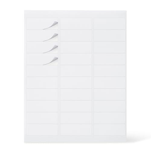 Amazon Basics Printable Address Labels 1" x 2-5/8" - 3000 White Mailing Labels, Letter Size, Permanent Adhesive, Pack of 100 Sheets, Model Variation