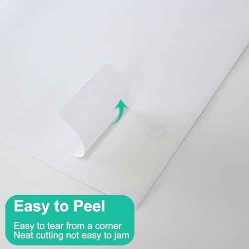 L LIKED 2" x 4" Label Stickers, Printable White 10 per Sheets Total 300 Labels, for Laser/Inkjet Printing - Matte (300 Labels)