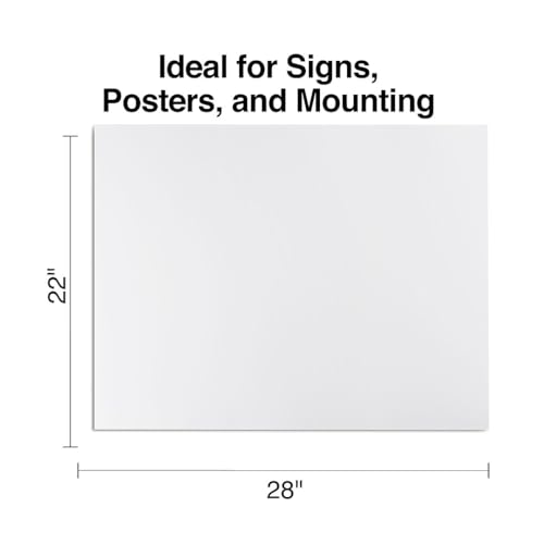 Staples 247403 Poster Boards 10-Pack White 22-Inch x 28-Inch (MMK04500S)