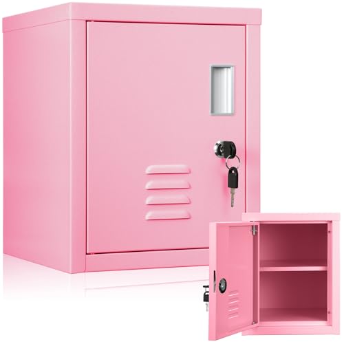 Suzile Lockable Storage Cabinet Metal Steel Organizer Lockers for