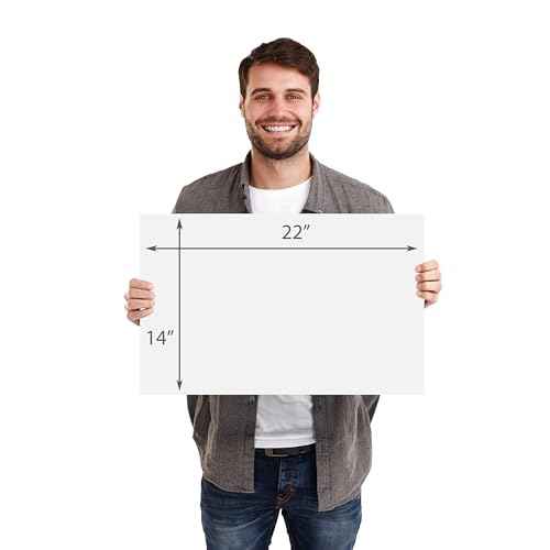 Royal Brites White Poster Board, Medium Size Presentation Board, 14 x 22 Inches (96 Sheets)