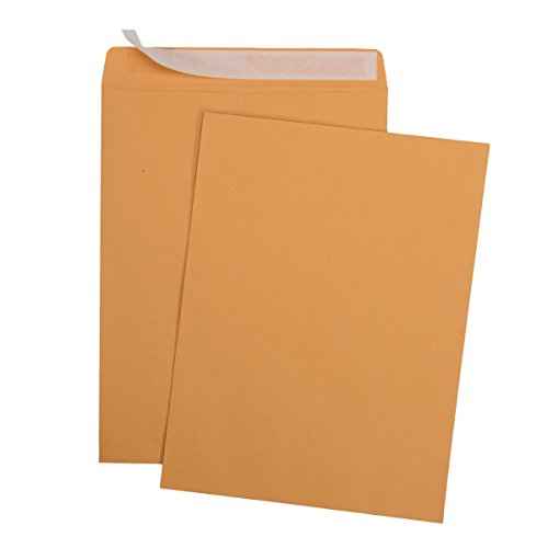 Aimoh 9 X 12 Self-Seal Brown Kraft Catalog Mailing Envelopes - 28lb - 100 Count, 9x12 Inch (38300)