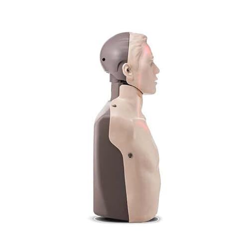 Brayden/BigRed¢â Adult CPR Manikin with LED Red Light CPR Feedback, Tan Skin | American Red Cross Carry Case Sold Separately