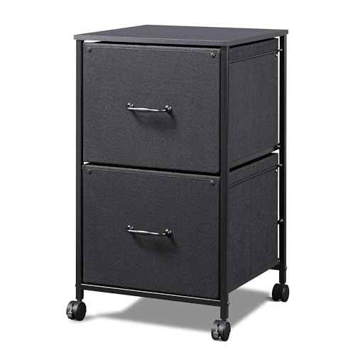 DEVAISE 2 Drawer Mobile File Cabinet, Rolling Printer Stand, Fabric Vertical Filing Cabinet fits A4 or Letter Size for Home Office, Black