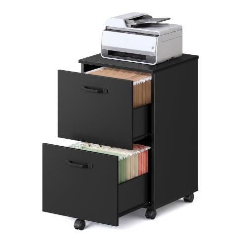VASAGLE Ink Black 2-Drawer File Cabinet on Casters – Small Rolling Storage