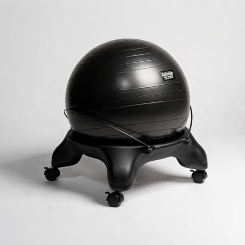 Aeromat Adjustable Active Sitting Exercise Ball Chair with Spine Support