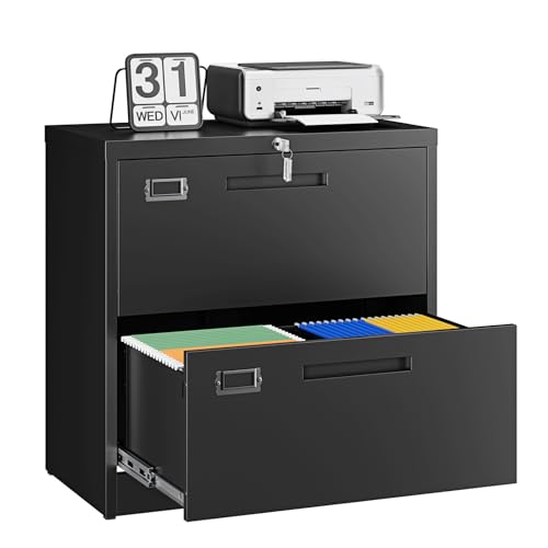 Letaya 2 Drawer File Cabinet with Lock,Metal Lateral Filing for Home