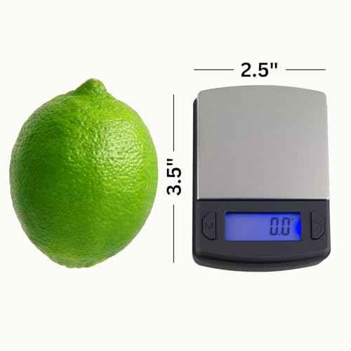 GemOro Platinum V600M | Durable Precise Jewelers Countertop Portable Mini Scale | Digital Precision Tool with Expert Professional Reading & Accuracy 600g x 0.1g Readability V Series
