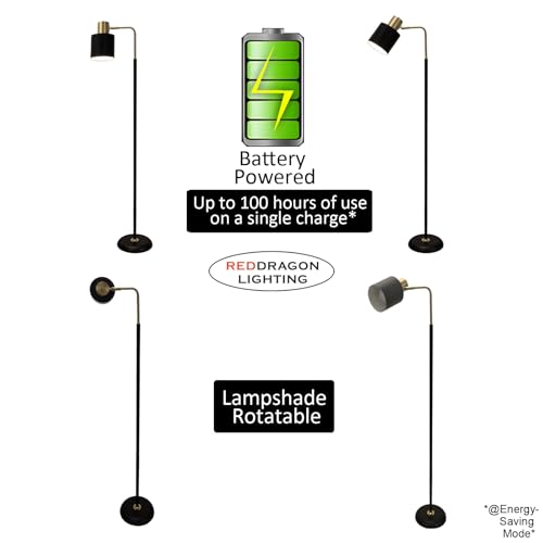 Modern Cordless Floor Lamp Battery Operated with Remote, Black Gold Rechargeable Minimalist Standing Battery Reading Floor Lamp with Metal Shade No Electric Wire for Living Room Bedroom (1 Pack)