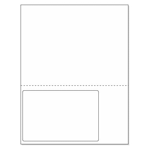 NextDayLabels - 8-1/2" x 11 24# Integrated Label Form with a 6x4 on Bottom Left (500)