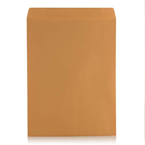 Aimoh 6x9 Manilla Envelopes 100ct Brown Kraft Self Seal Catalog Mailers