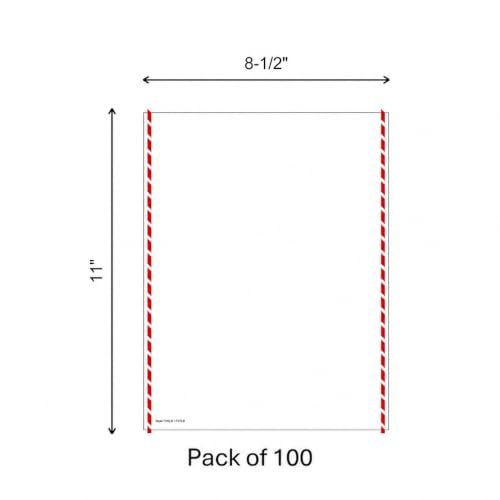 Labelmaster F07LB Shipper's Declaration for Dangerous Goods Form, Laser Blank (Pack of 100) – Single Pack
