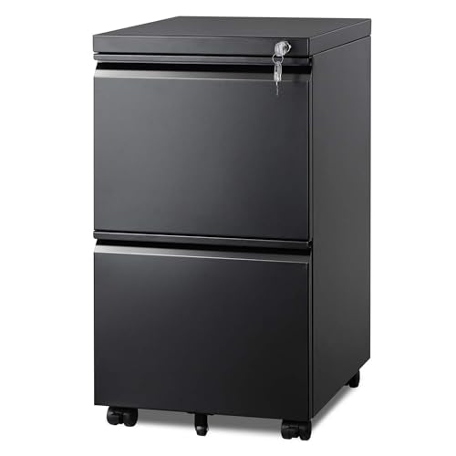 DEVAISE Black Metal File Cabinet with 2 Drawers, Fully Assembled, 17"D x 15"W x 27"H