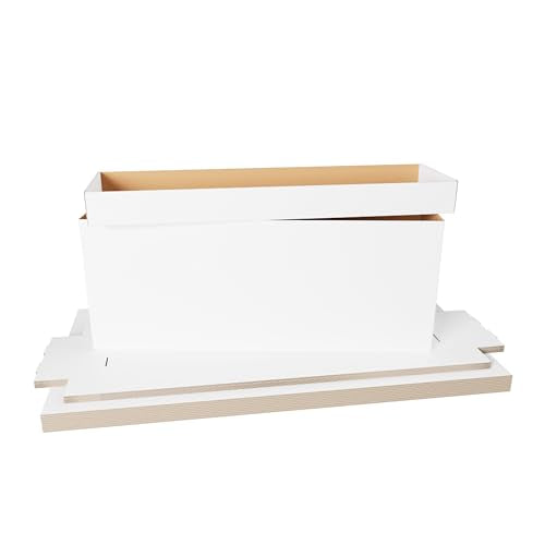 Max Protection Comic Book Storage Box - 3 Count Long Comic Book Boxes with White Corrugated Cardboard - Stackable Bin, Thick Case, Book Containers with Lid - Ideal for Comics, Magazines, Collectibles